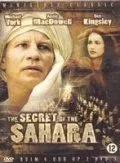 Секрет Сахары (1987) 1 сезон