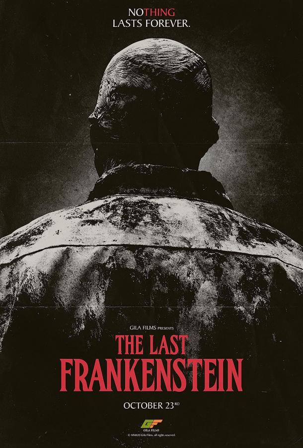 Последний Франкенштейн (2022)